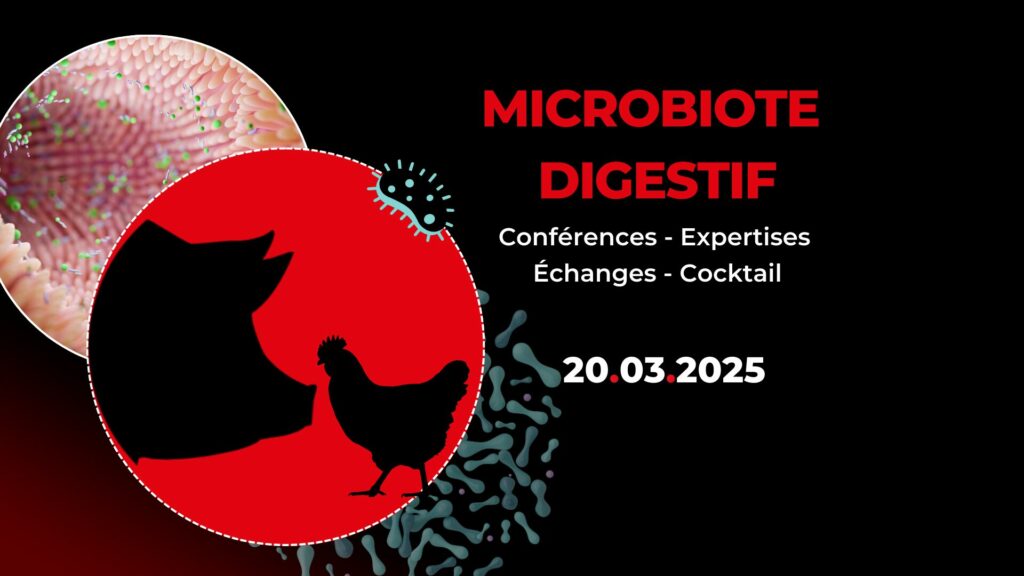 Bannière Microbiote digestif 20 03 2025 Innozh 